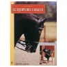 El  equipo  del  caballo