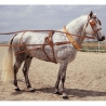 enganche  inglesa  sencillo  c/collarin