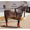 enganche  troton  cuero